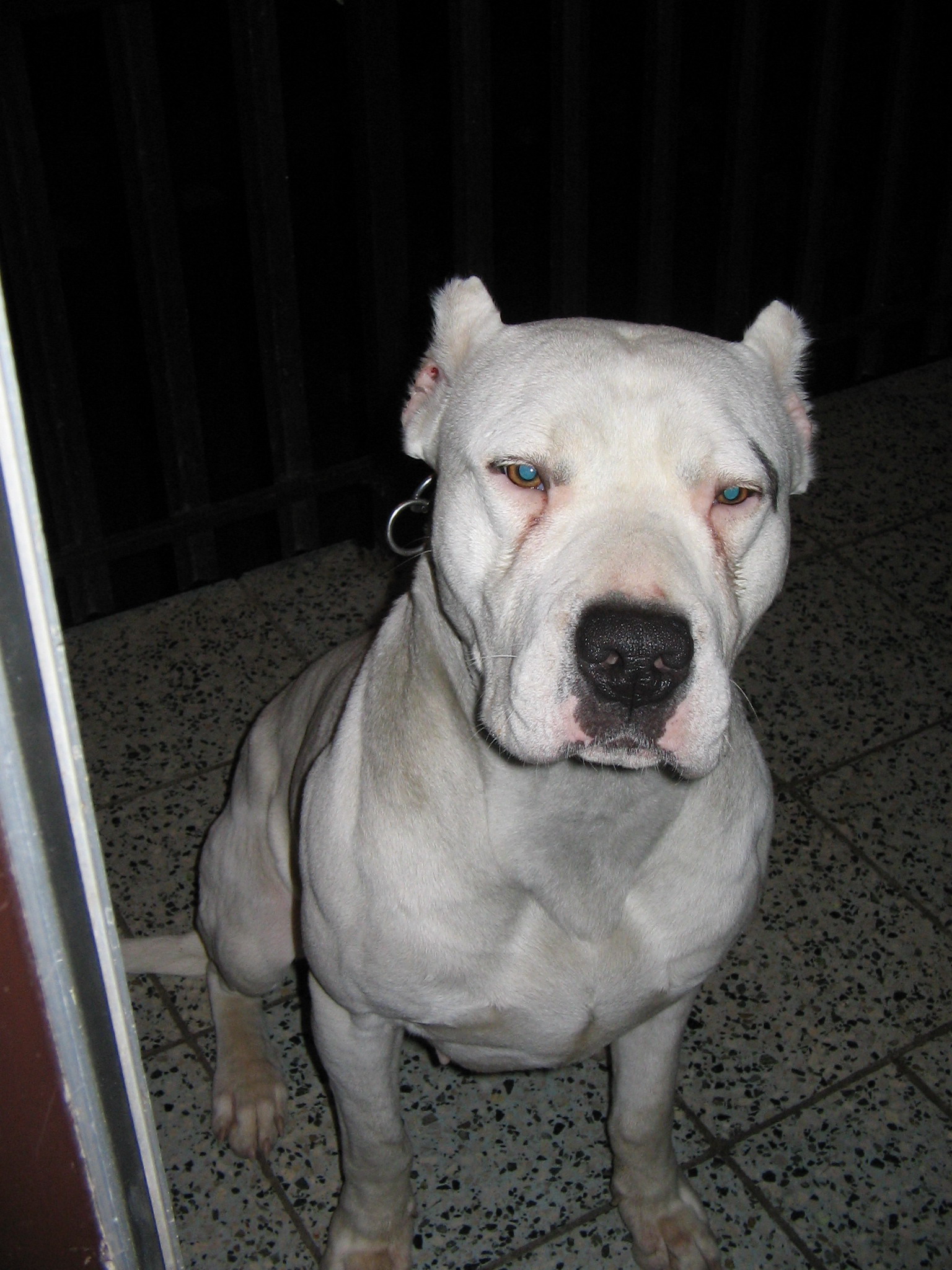 17.1.2005 015.jpg